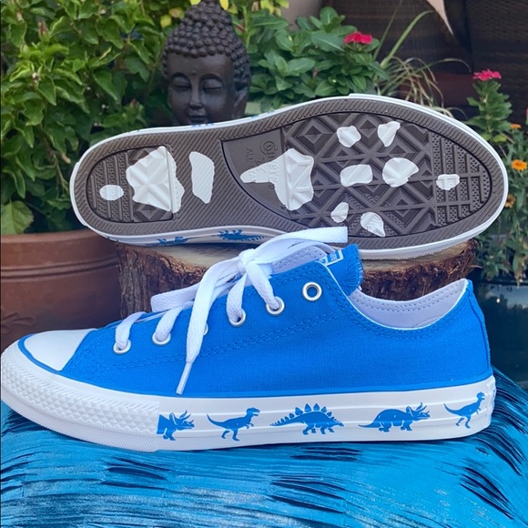 dinosaur converse size 7
